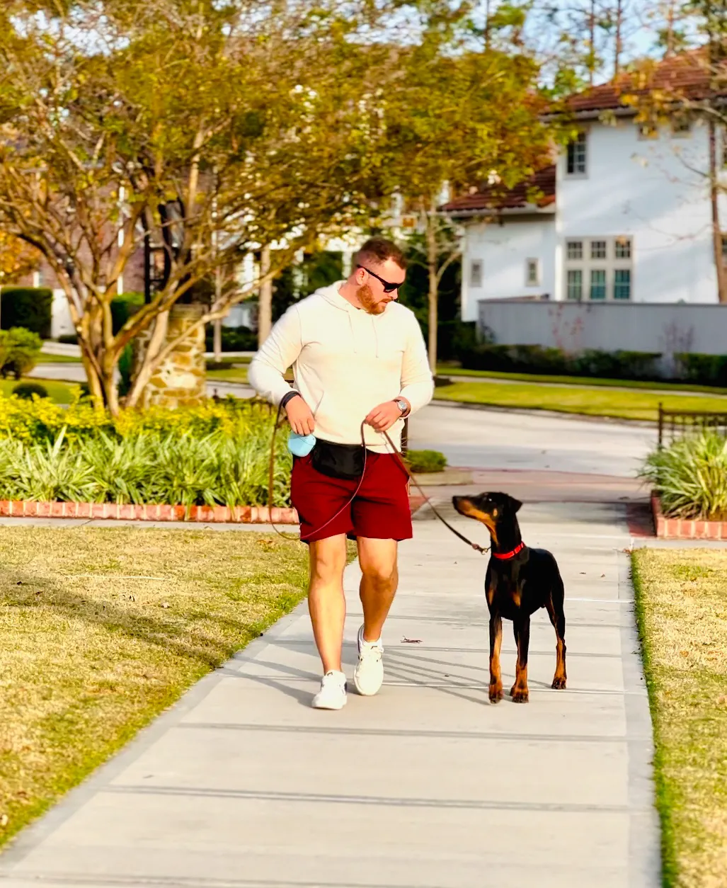 Seth walking a Doberman on a neighborhood sidewalk