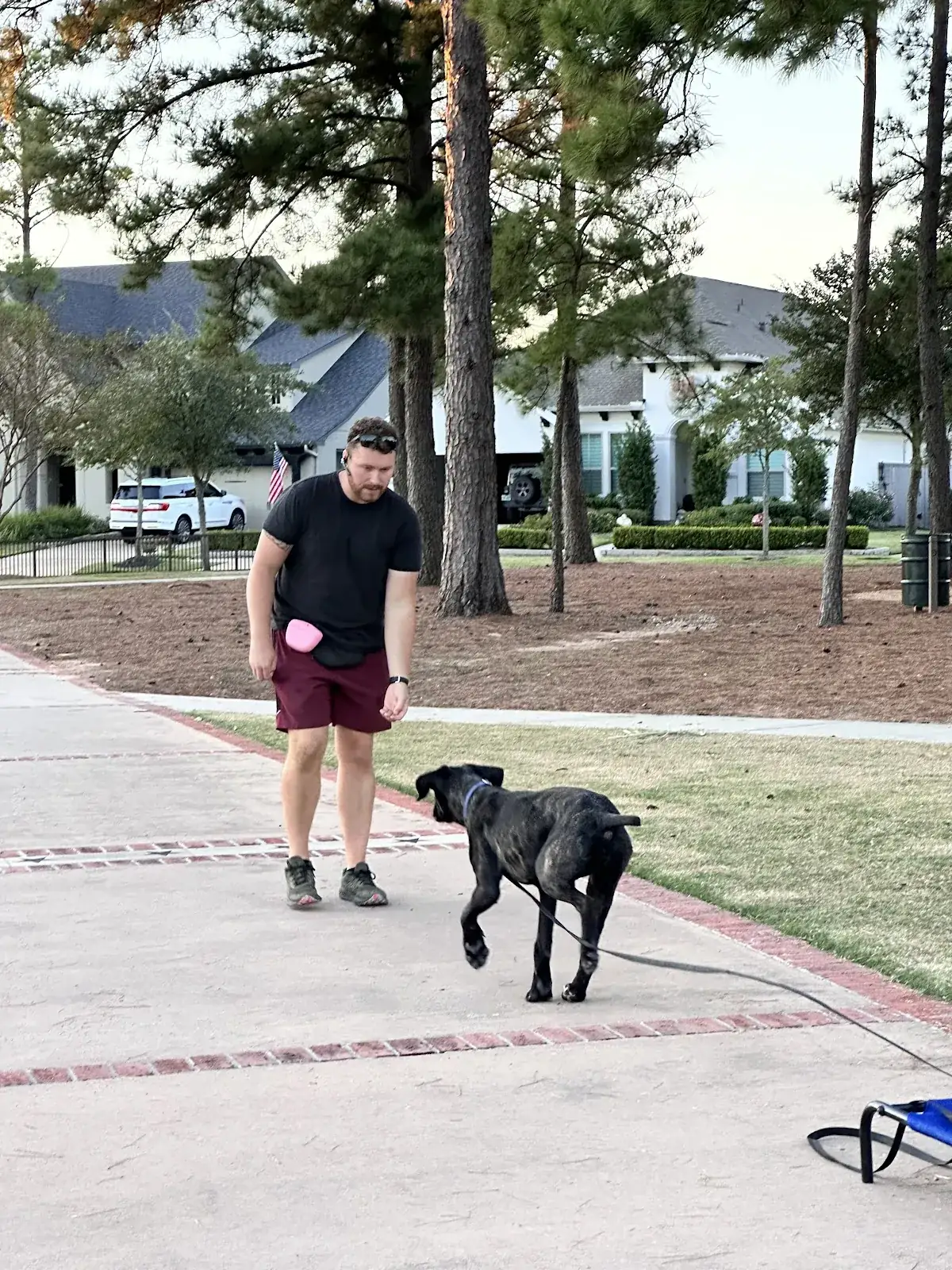Seth walking a black Lab down a quiet street