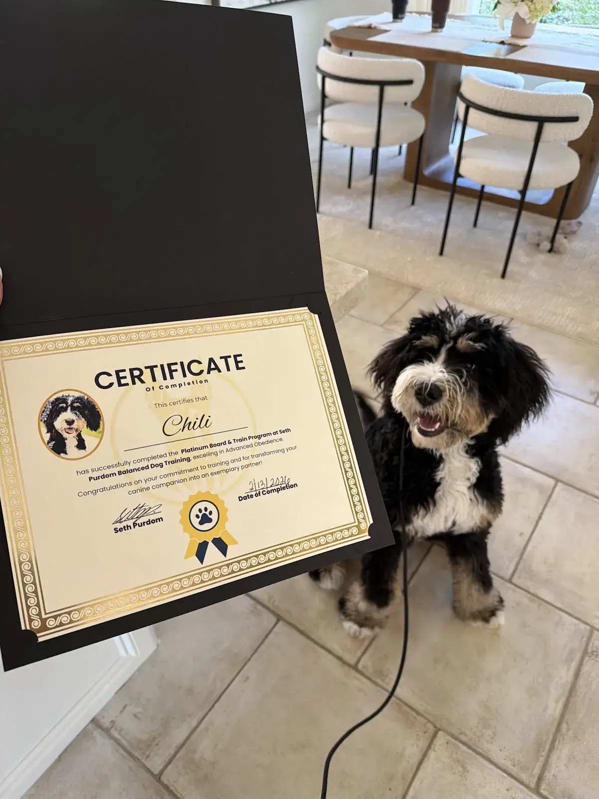 A graduate sitting beside the Best Dog University certificate