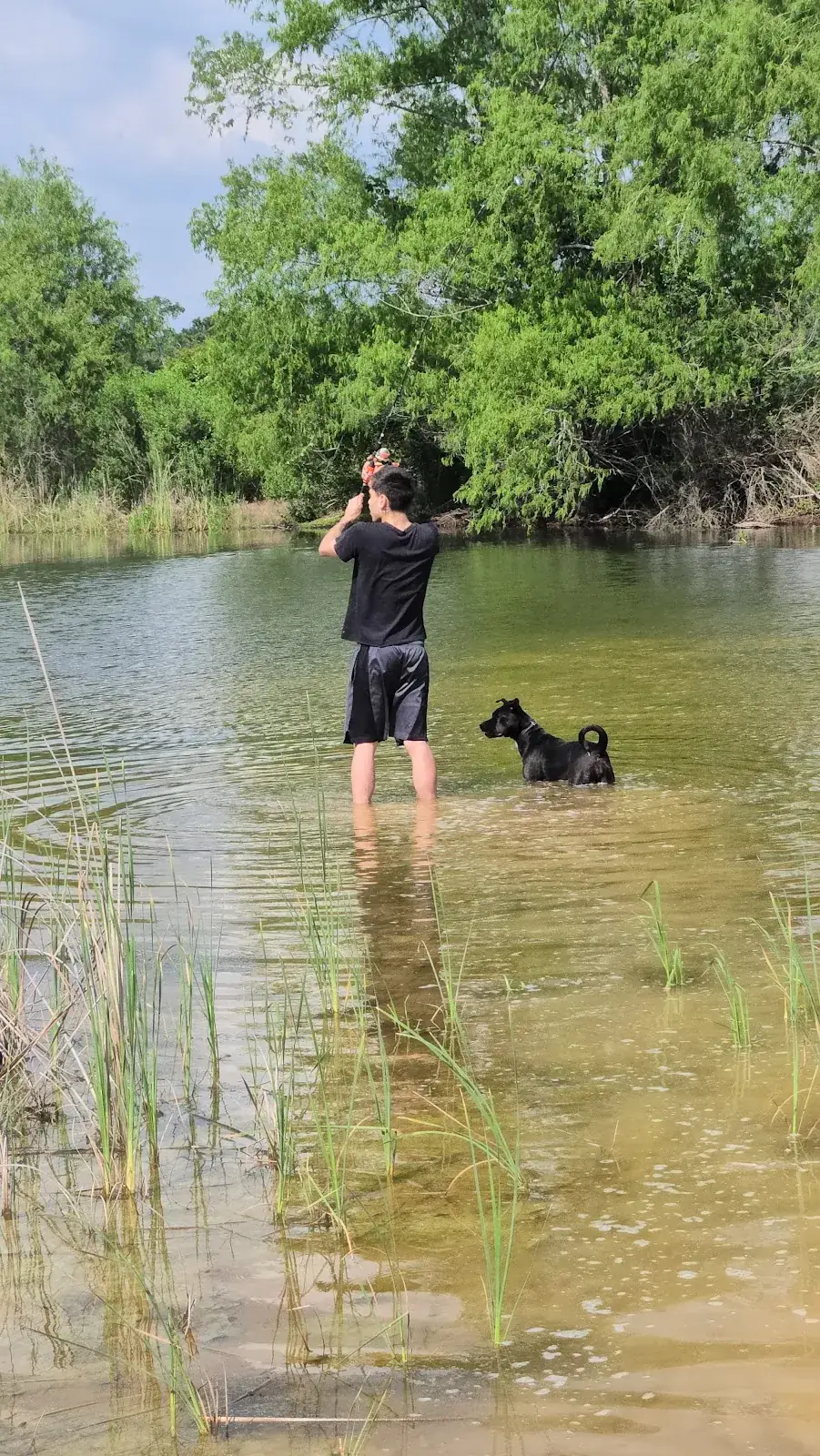 Seth in the lake with a dog on a long line